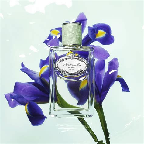 prada iris perfume australia|prada iris perfume 100ml.